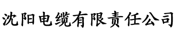 污网站污视频电缆厂logo